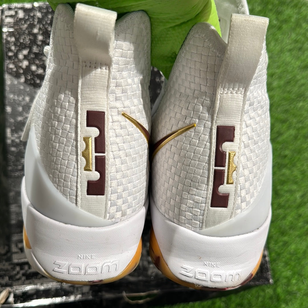LeBron 14 'White Wine' 11M/12.5W