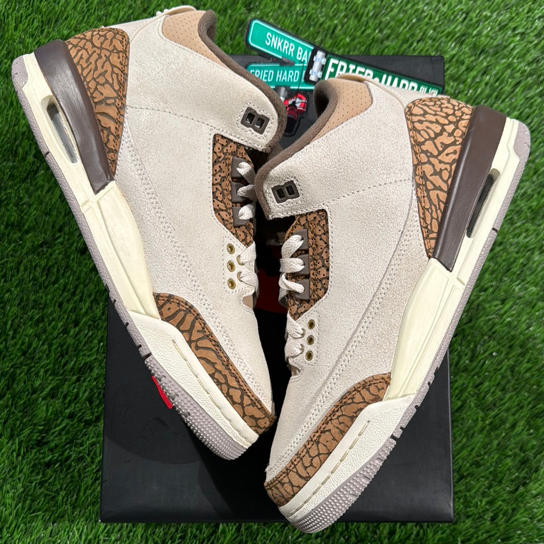 Air Jordan 3 Retro GS 'Palomino'