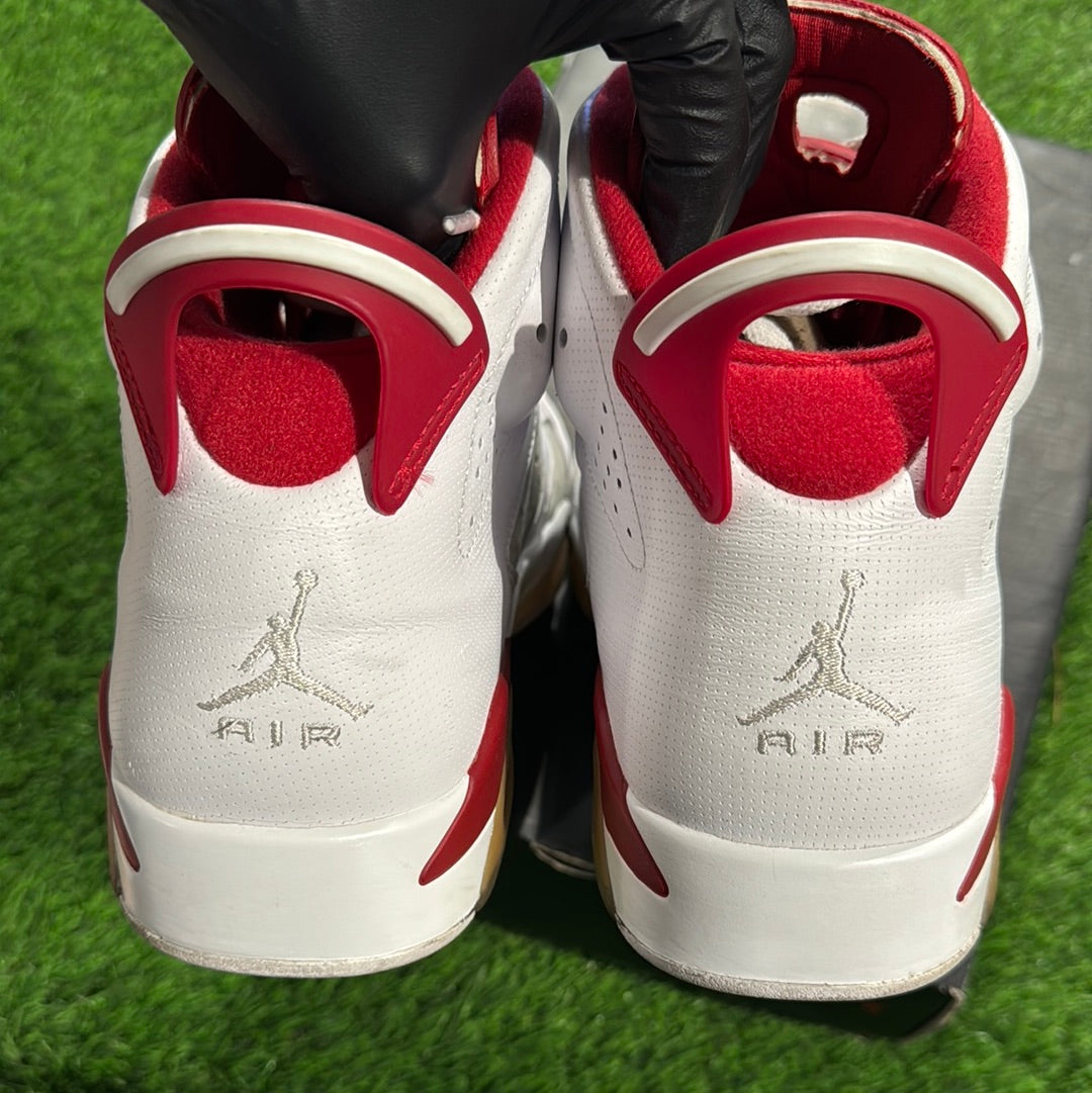 Air Jordan 6 Retro 'Alternate'