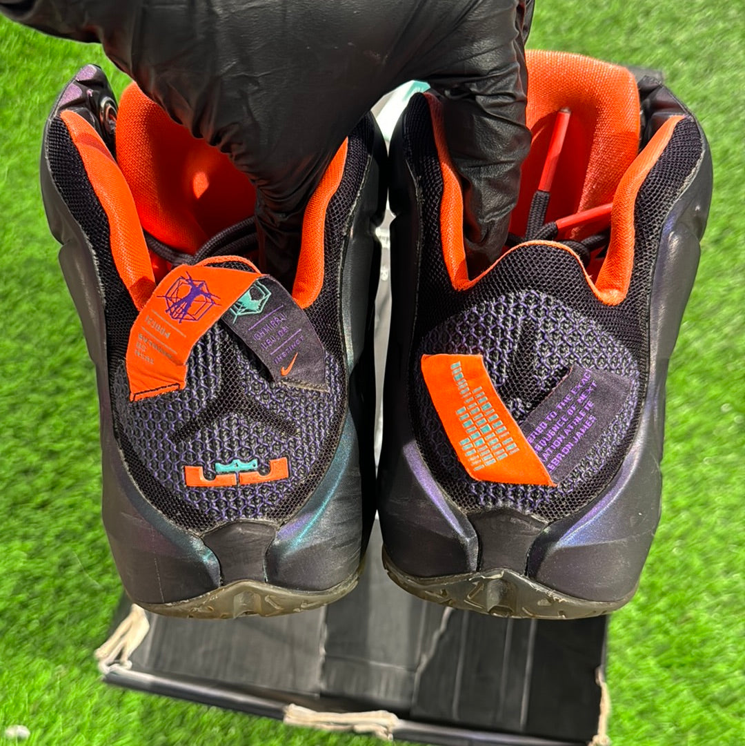 LeBron 12 'Instinct'