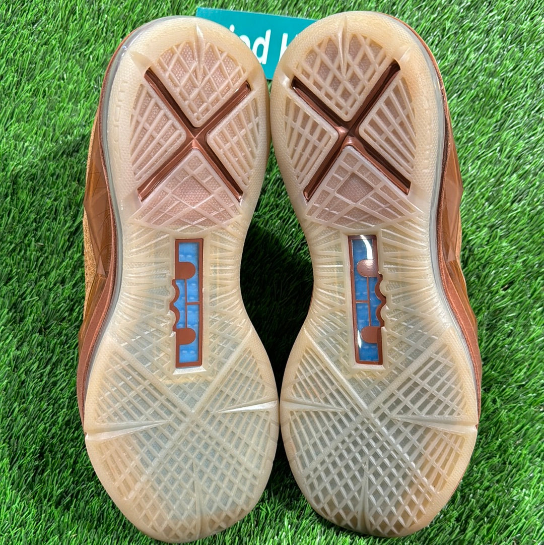 LeBron 10 EXT QS 'Hazelnut'