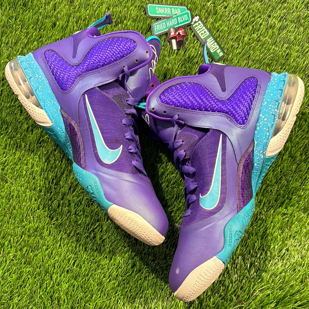 LeBron 9 'Summit Lake Hornets'