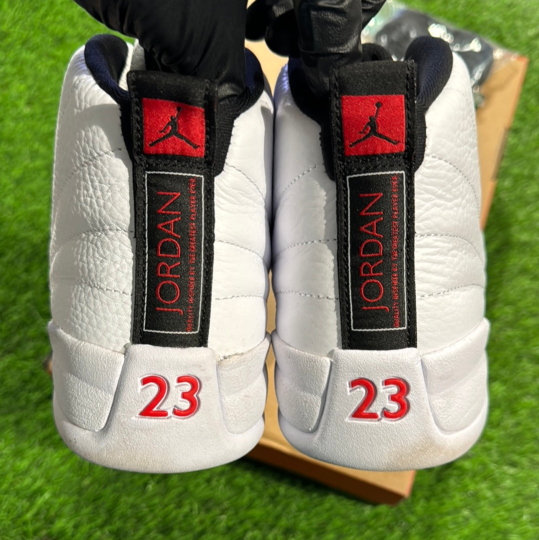 Air Jordan 12 Retro 'Twist'