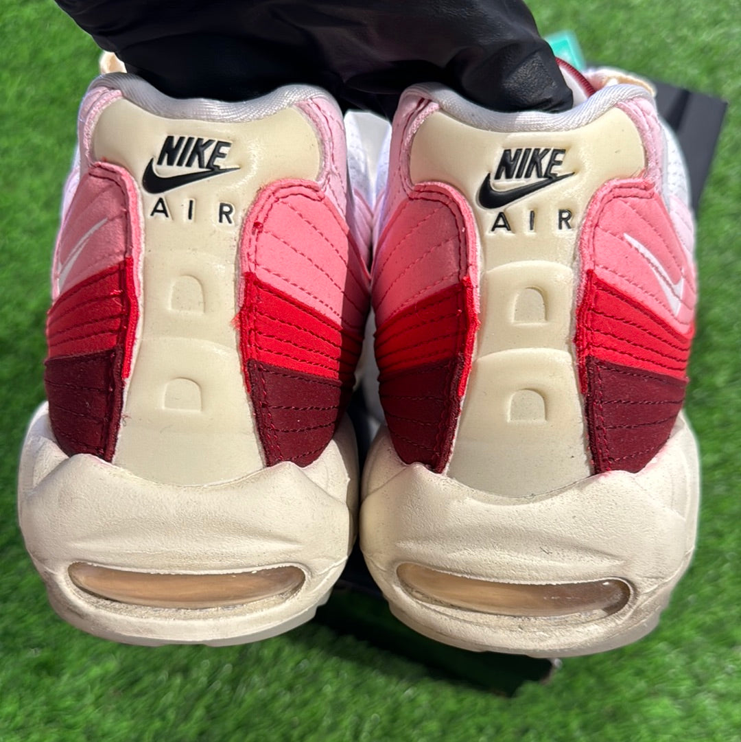 Air Max 95 'Anatomy Of Air'
