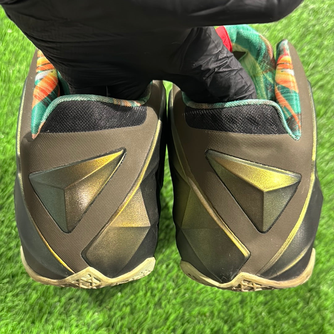 LeBron 11 'King's Pride'