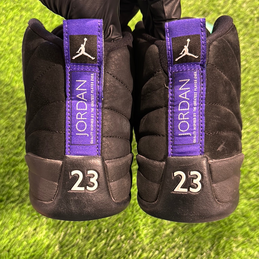 Air Jordan 12 Retro 'Dark Concord'