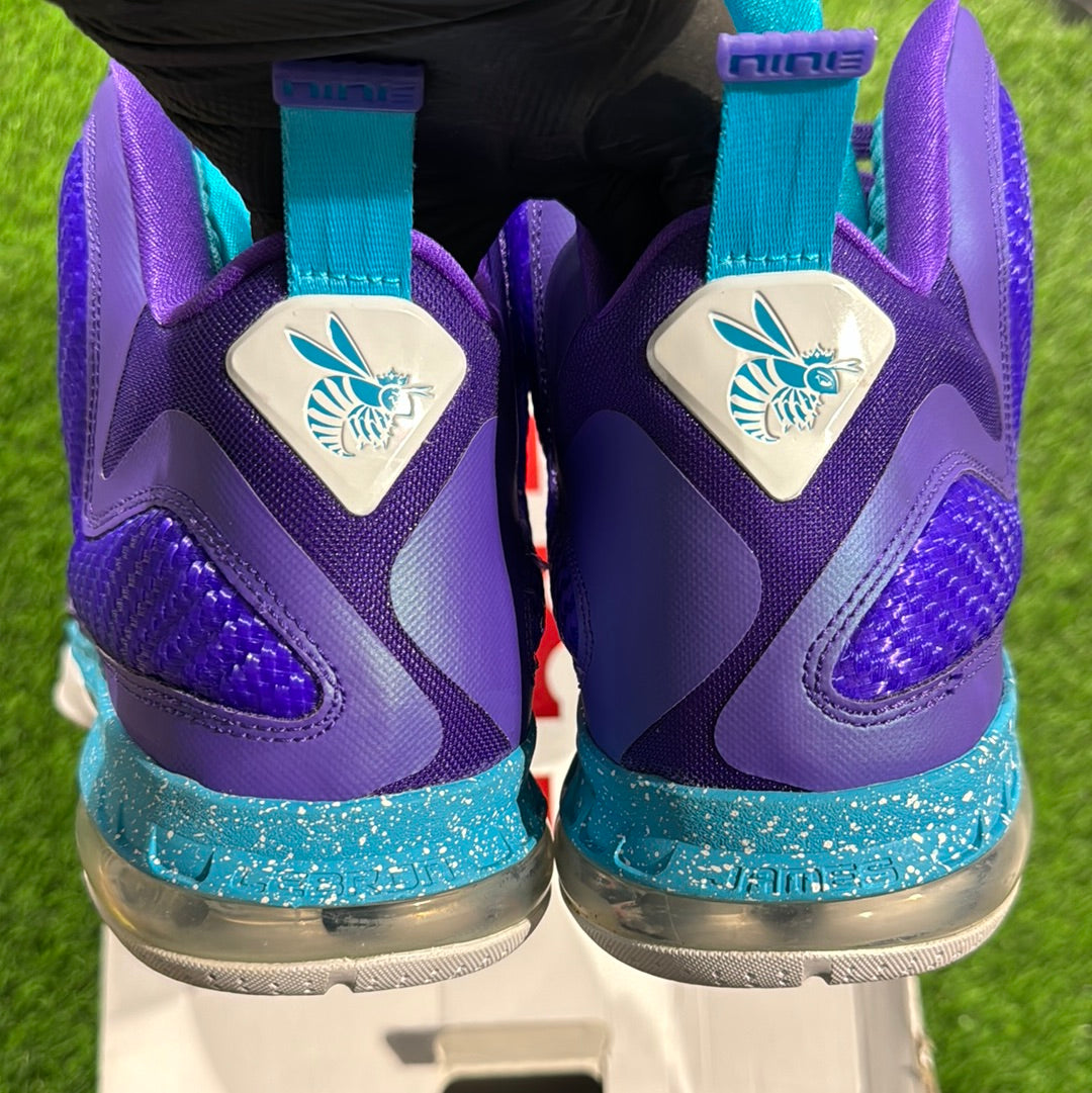 LeBron 9 'Summit Lake Hornets'