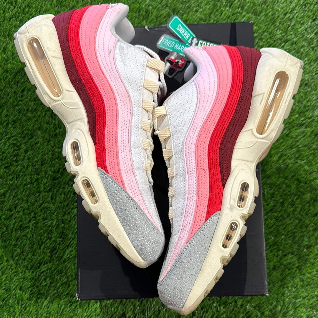 Air Max 95 'Anatomy Of Air'