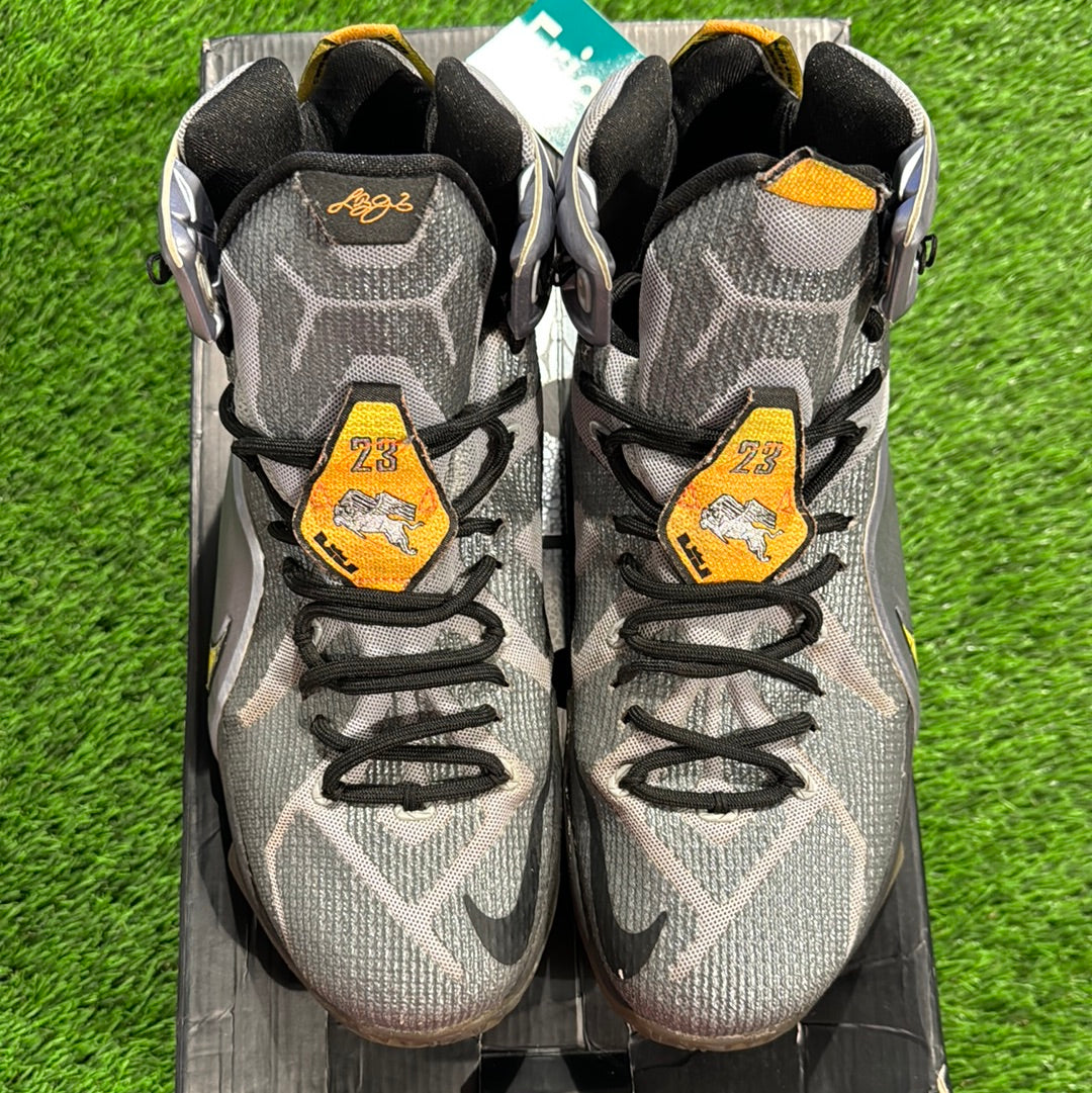 LeBron 12 'Flight'