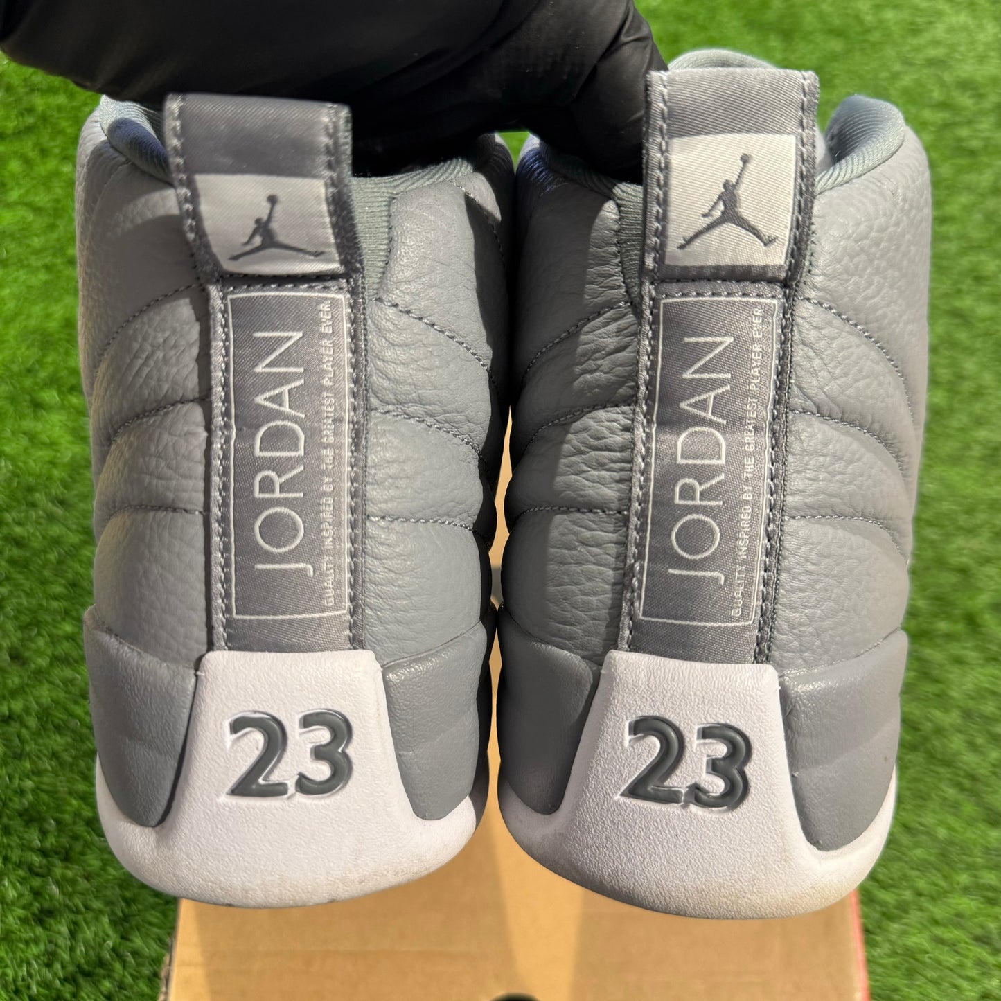 Air Jordan 12 Retro 'Stealth'