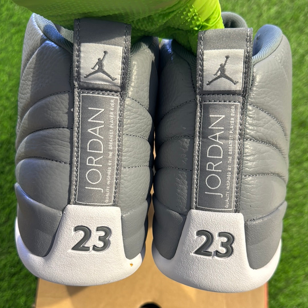 Air Jordan 12 Retro 'Stealth'