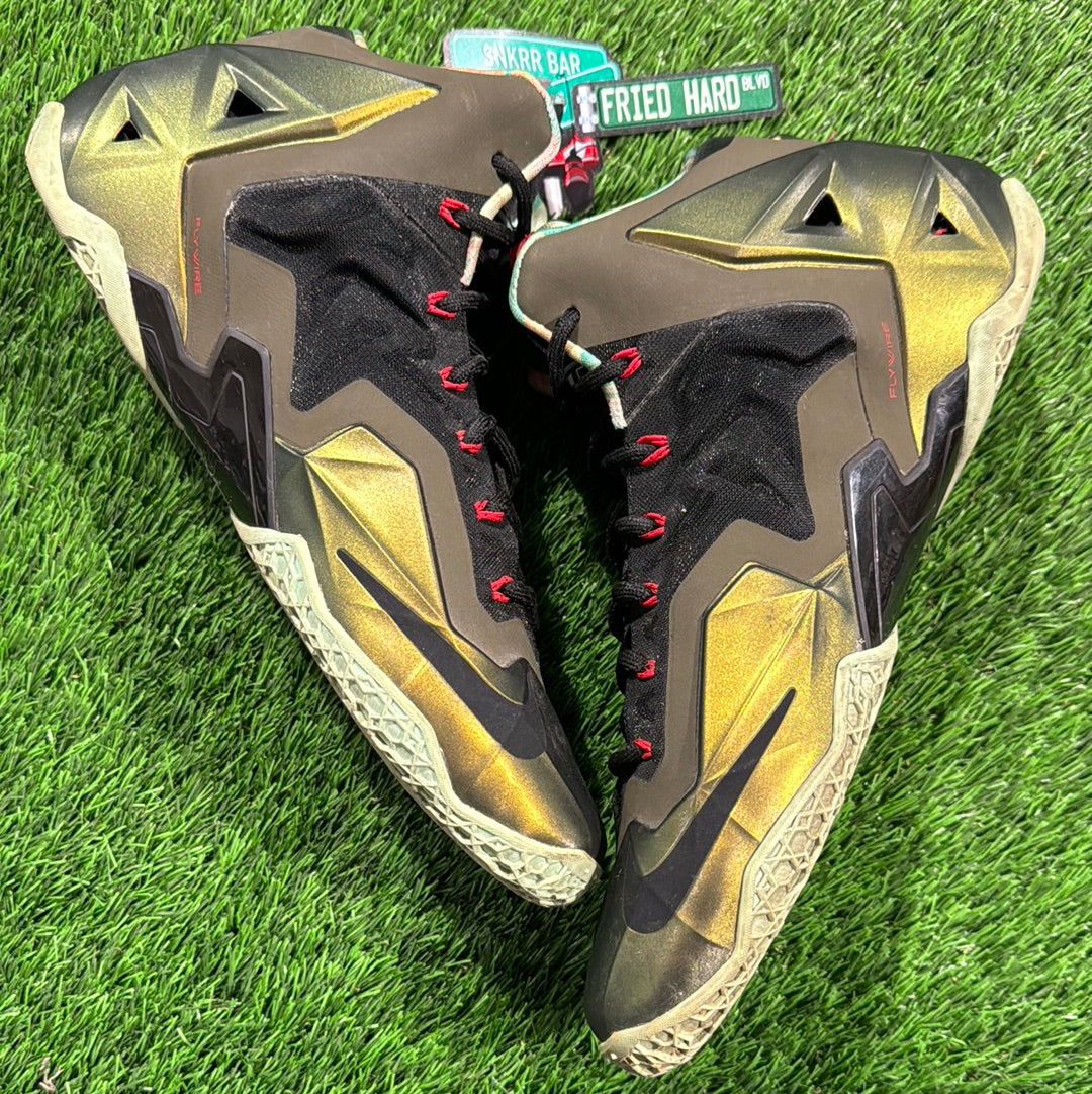 LeBron 11 'King's Pride'