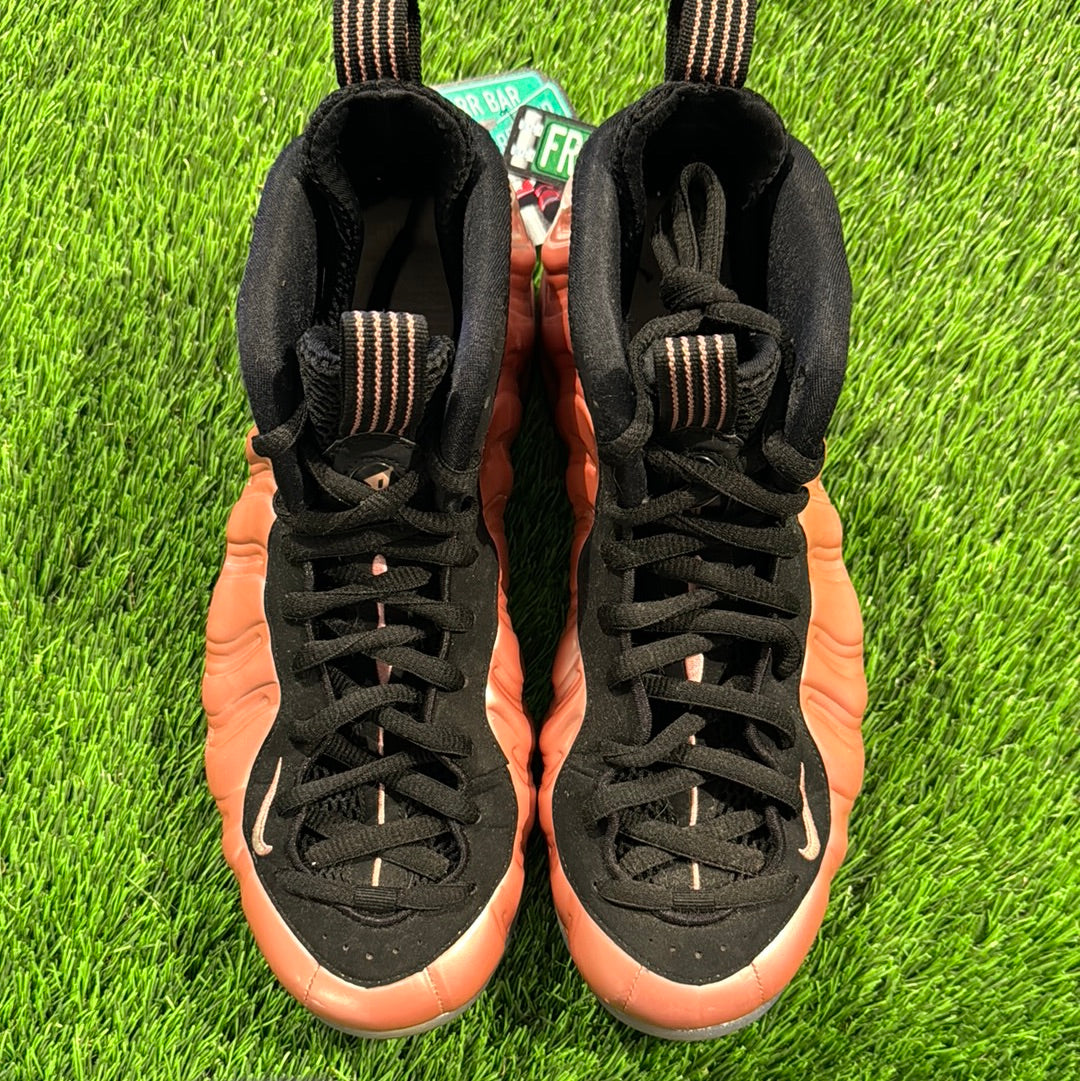 Air Foamposite One 'Elemental Rose'