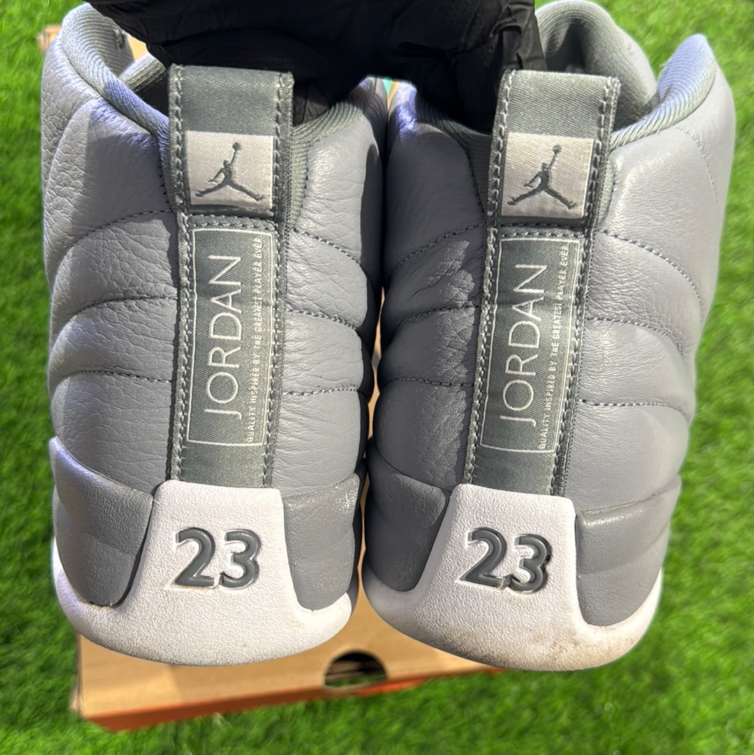 Air Jordan 12 Retro 'Stealth'