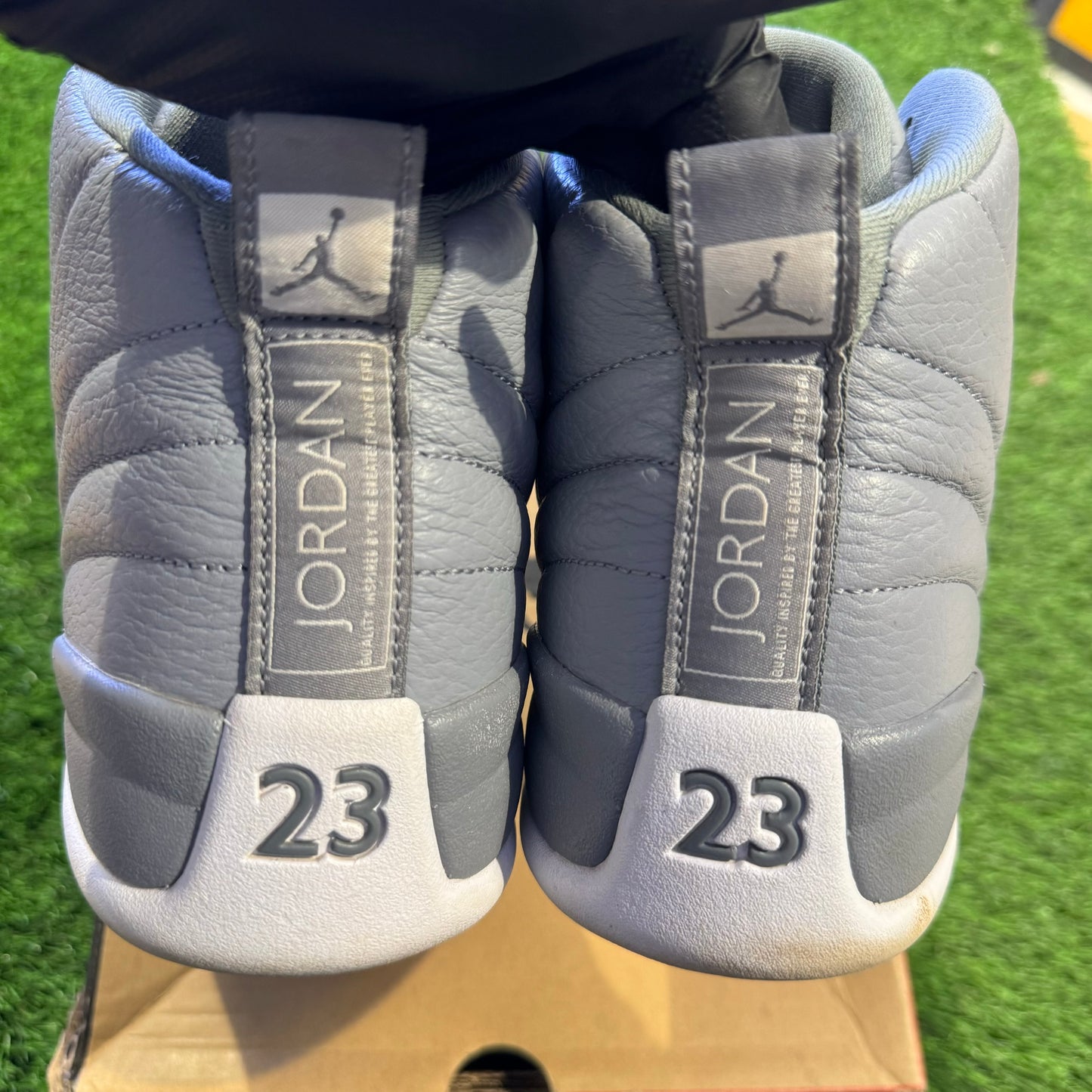 Air Jordan 12 Retro 'Stealth'