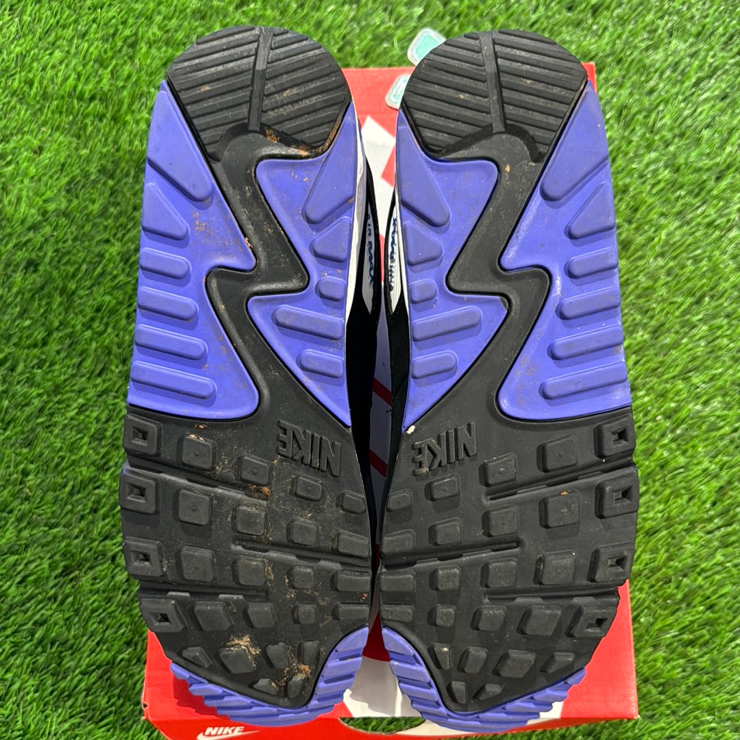 Air Max 90 'Persian Violet'
