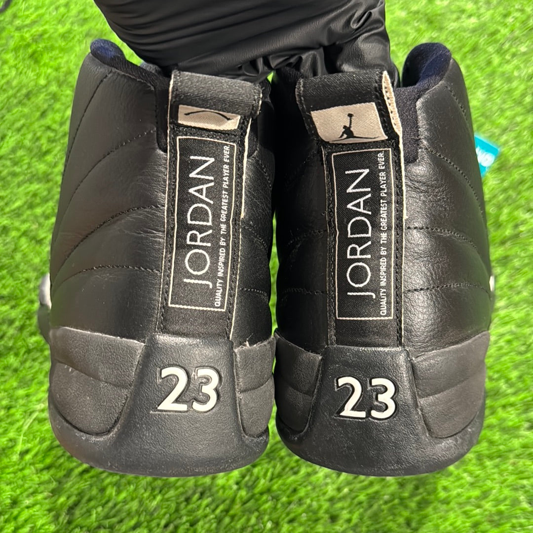 Air Jordan 12 Retro 'The Master'