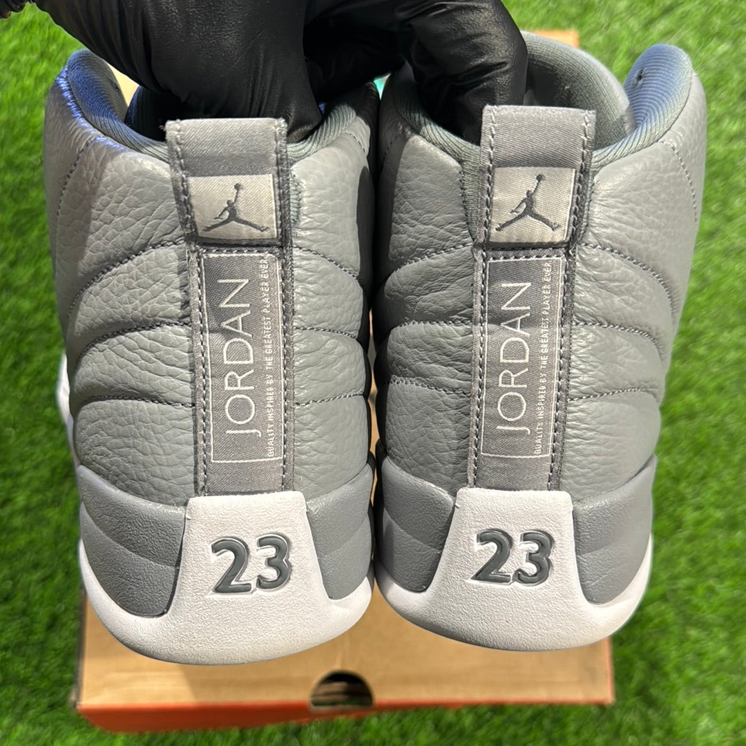 Air Jordan 12 Retro 'Stealth'