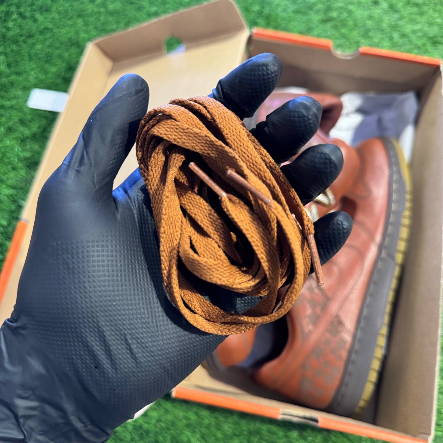 Dunk Low 1 Piece 2006