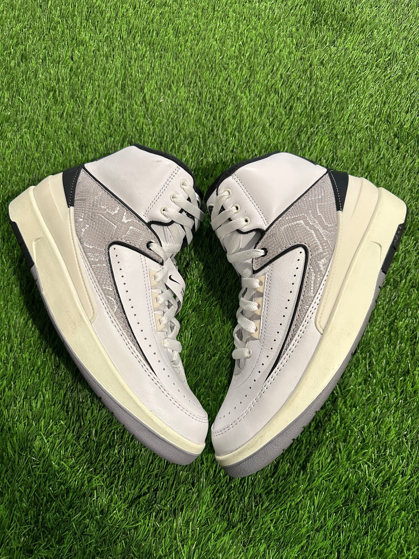 Jordan 2 Retro Python (GS)
