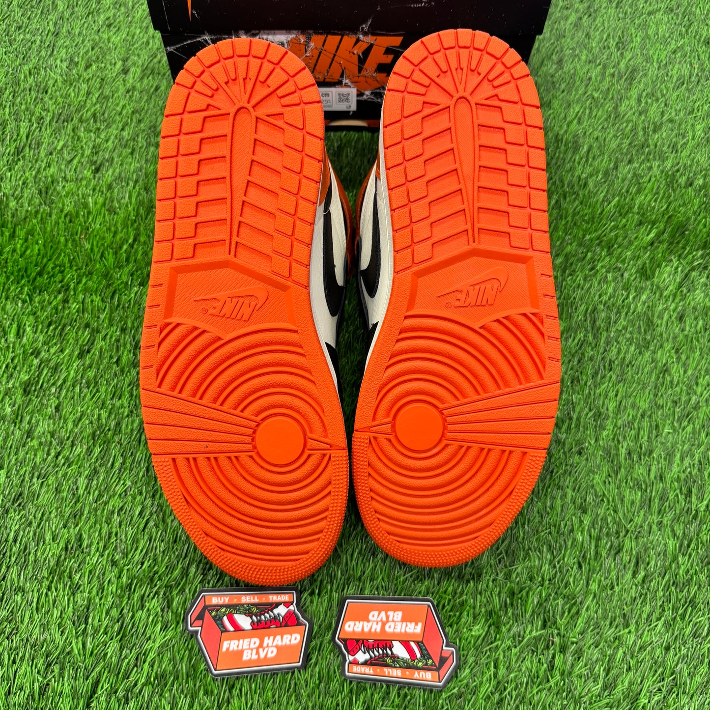Jordan 1 Retro High OG Shattered Backboard (2025) SIZE 11.5M/13W
