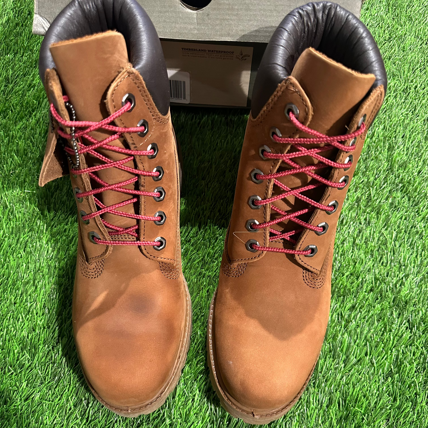 Timberland 6" Boot Tundra Waterbuck Wheat SIZE 8M/9.5W