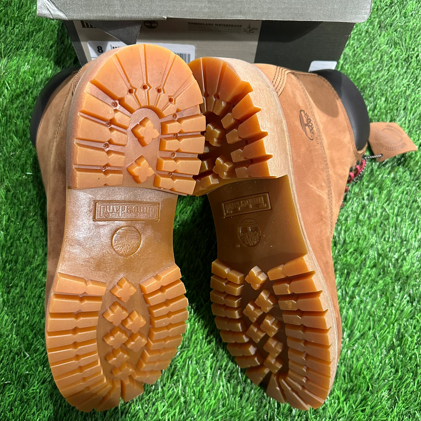 Timberland 6" Boot Tundra Waterbuck Wheat SIZE 8M/9.5W