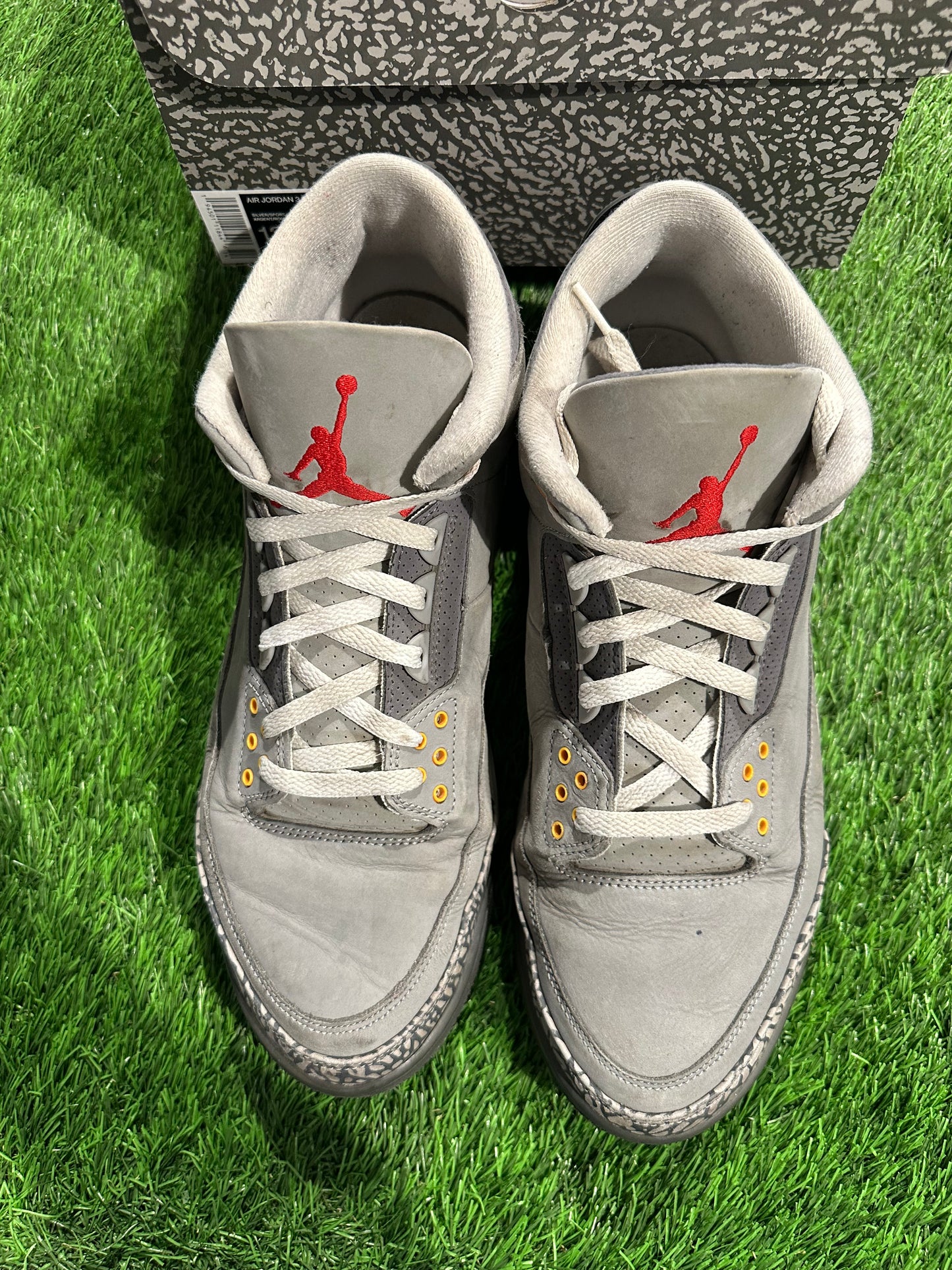 Jordan 3 Retro Cool Grey (2021)