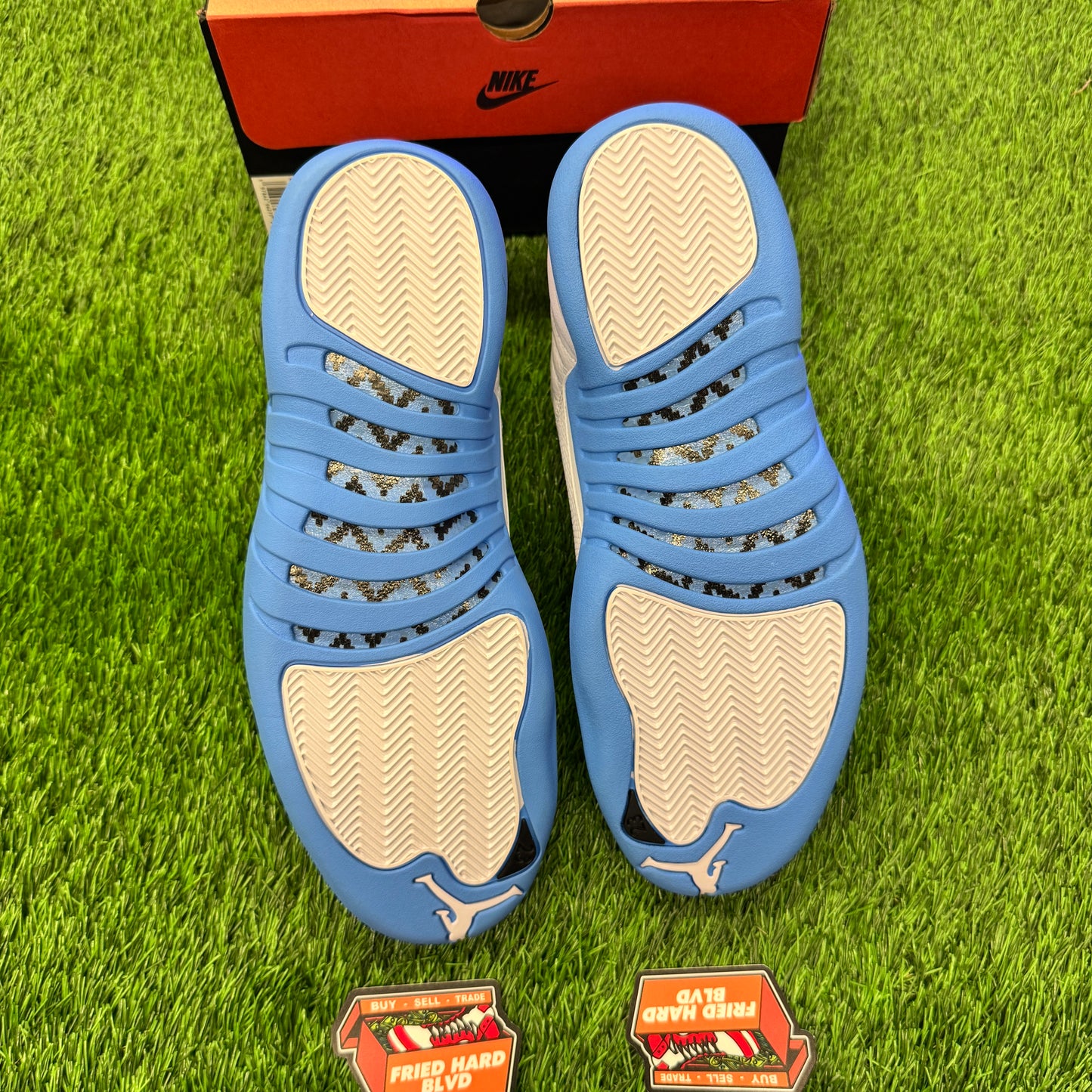 Jordan 12 Retro Melo (2025) SIZE 11.5M/13W