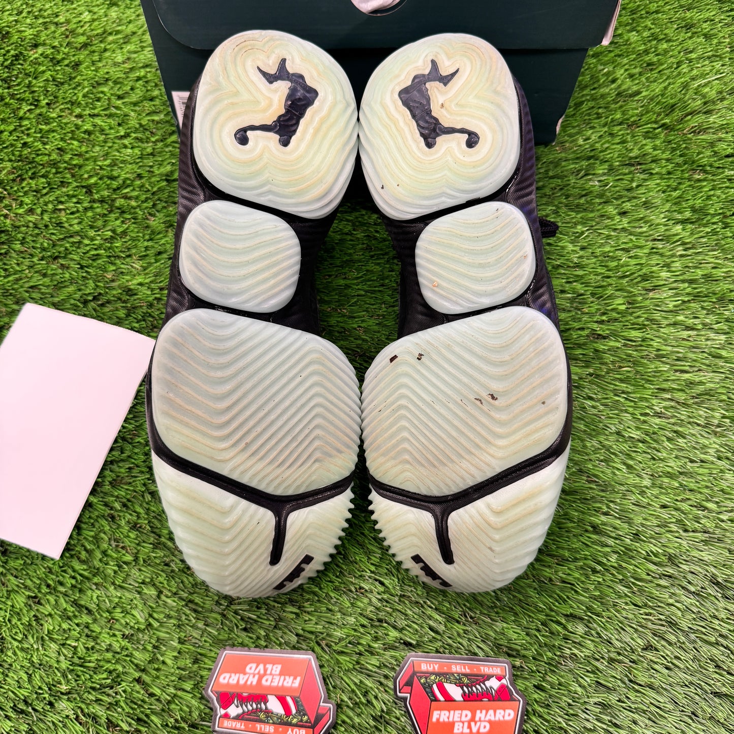 LeBron 16 Glow SIZE 12M/13.5W