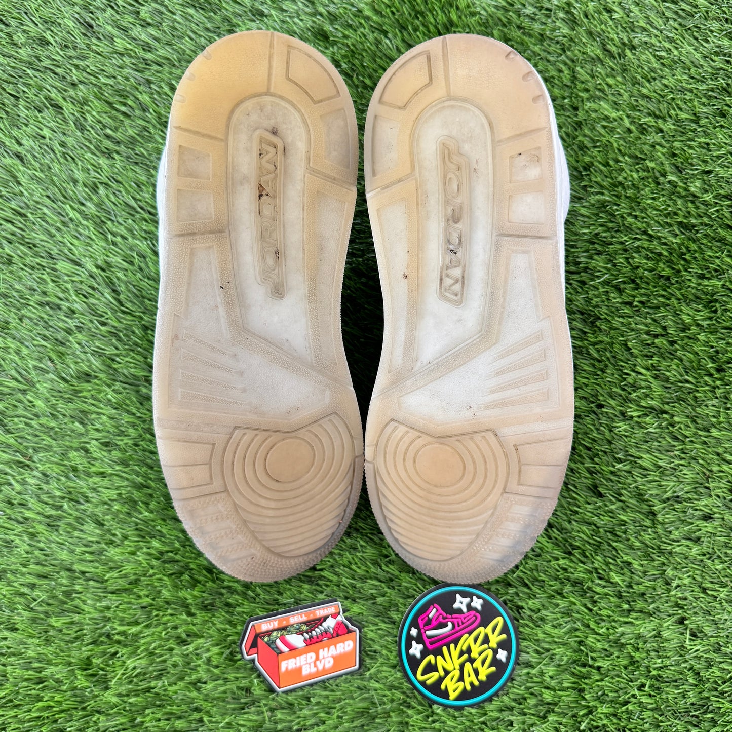 Jordan 3 Retro Silver Anniversary