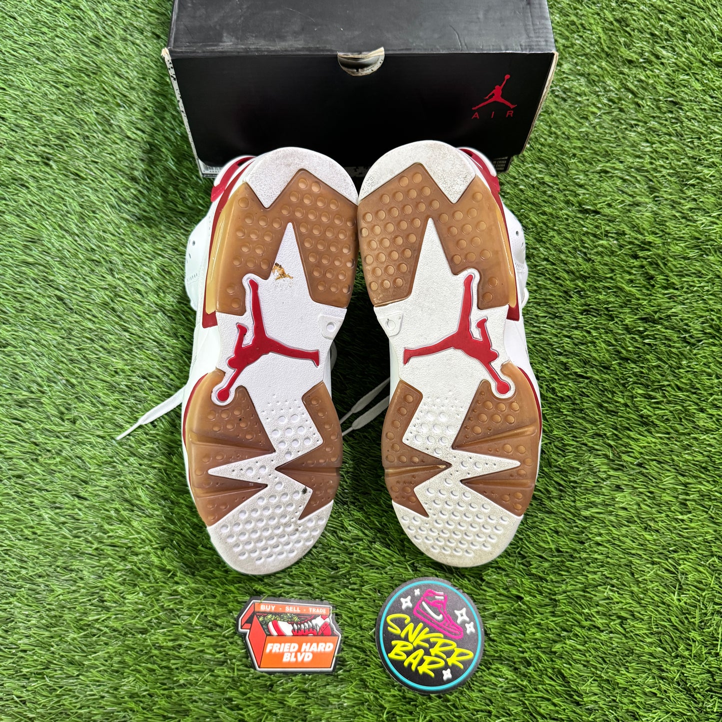 Jordan 6 Retro Alternate Hare