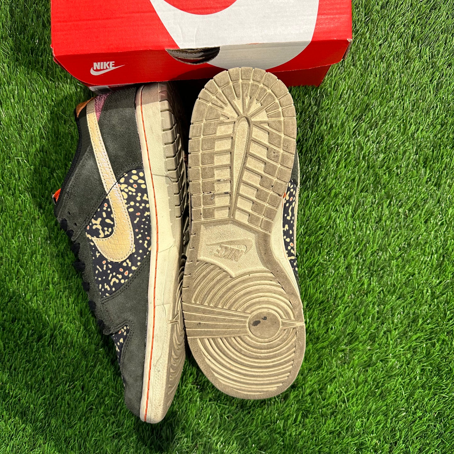 Nike Dunk Low SE Gone Fishing Rainbow Trout