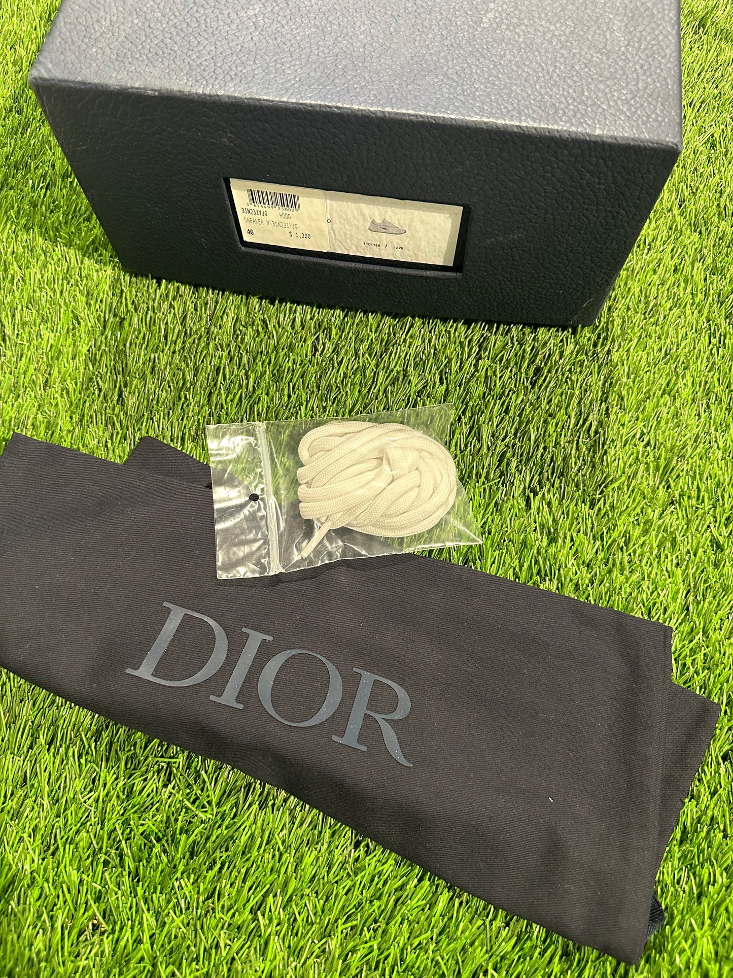 Dior B22 White Silver