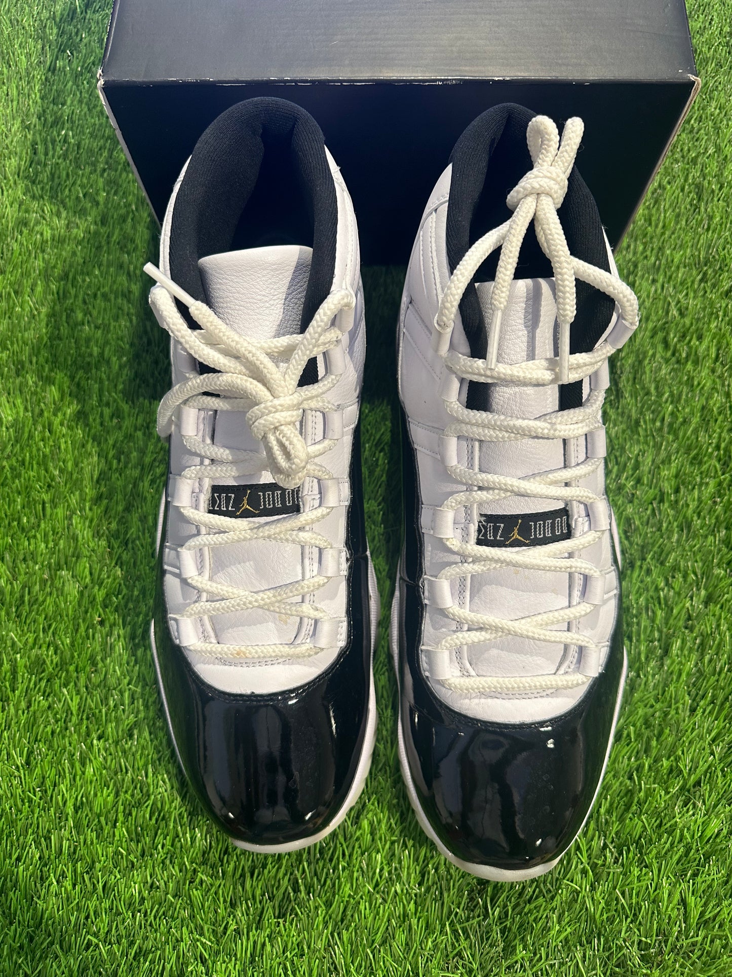 Jordan 11 Retro DMP Gratitude (2023)
