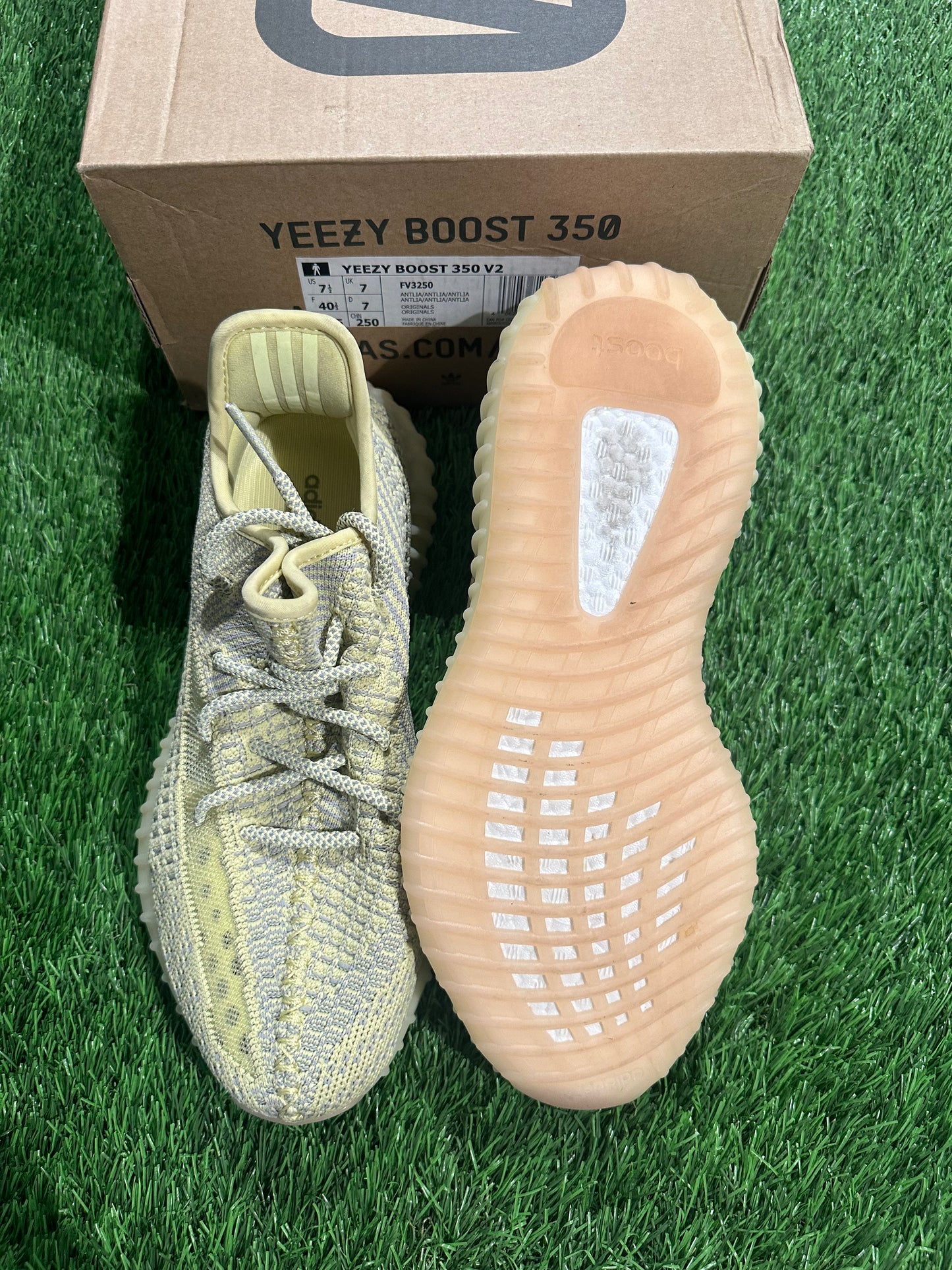 Adidas Yeezy Boost 350 V2 Antlia (Non-Reflective) 7.5M/9M