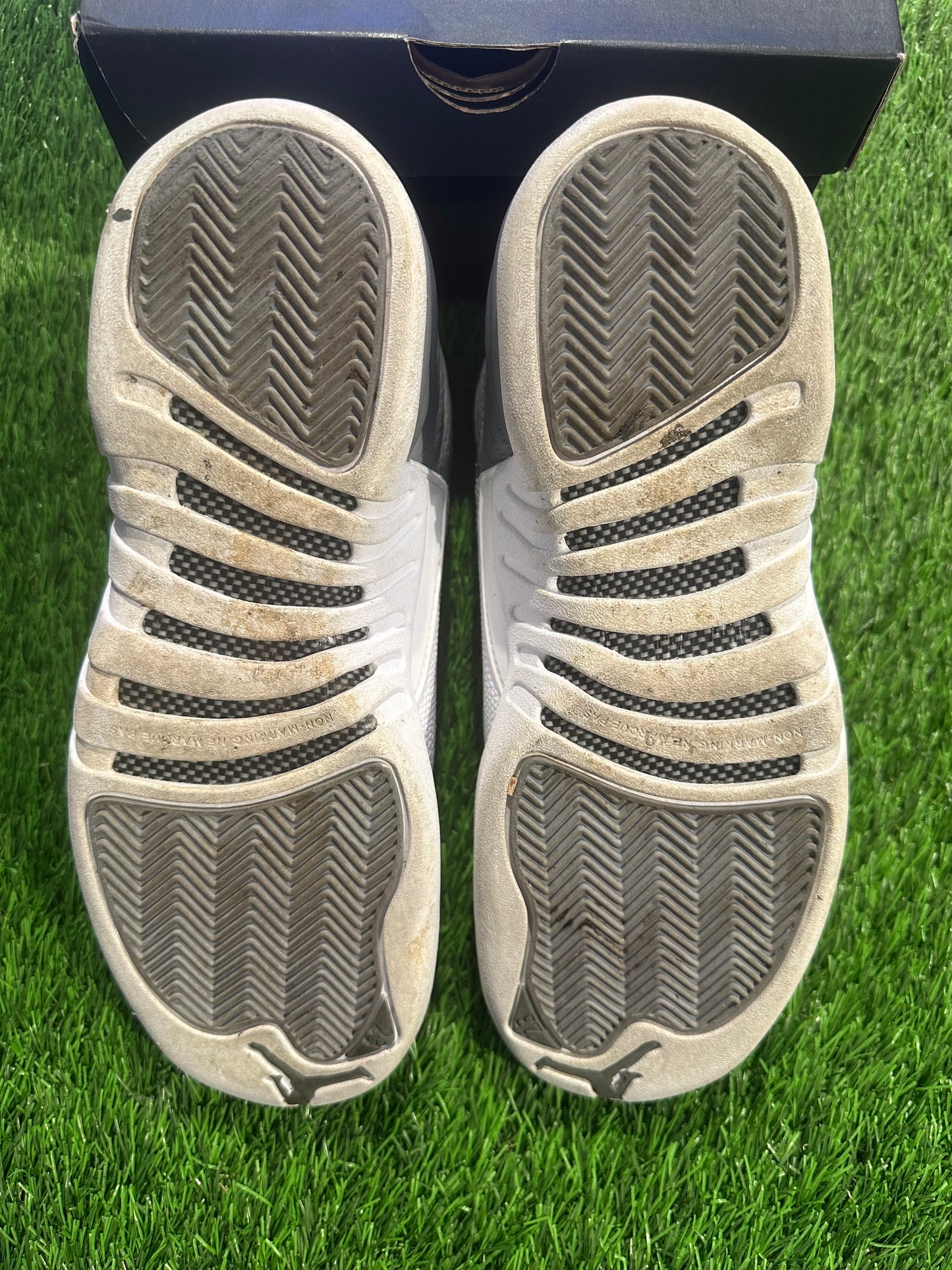 Jordan 12 Retro Stealth (GS)