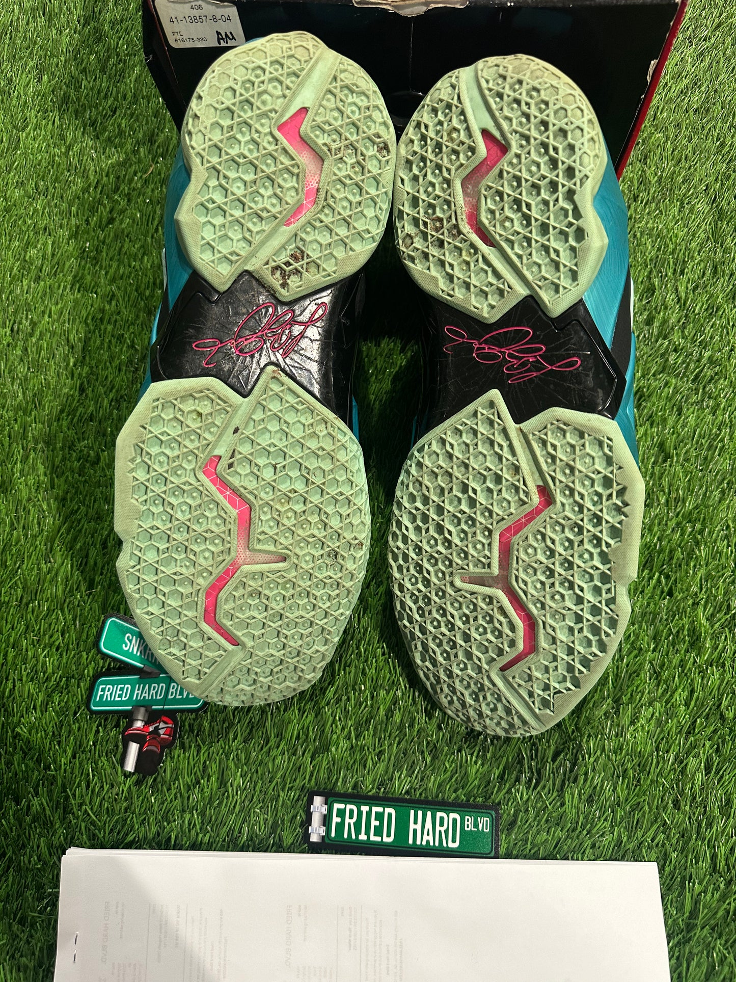 Nike LeBron 11 South Beach