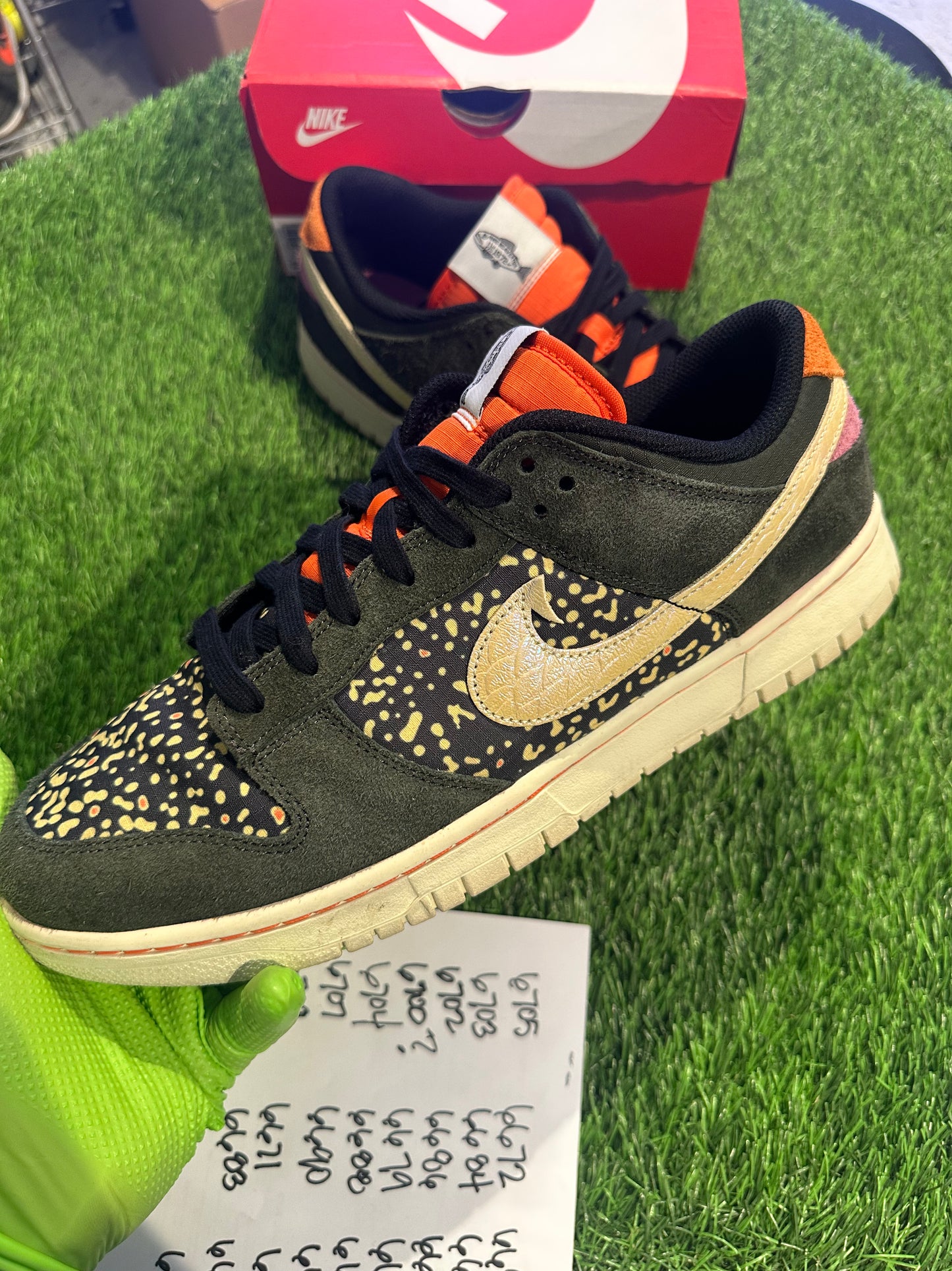 Nike Dunk Low SE Gone Fishing Rainbow Trout