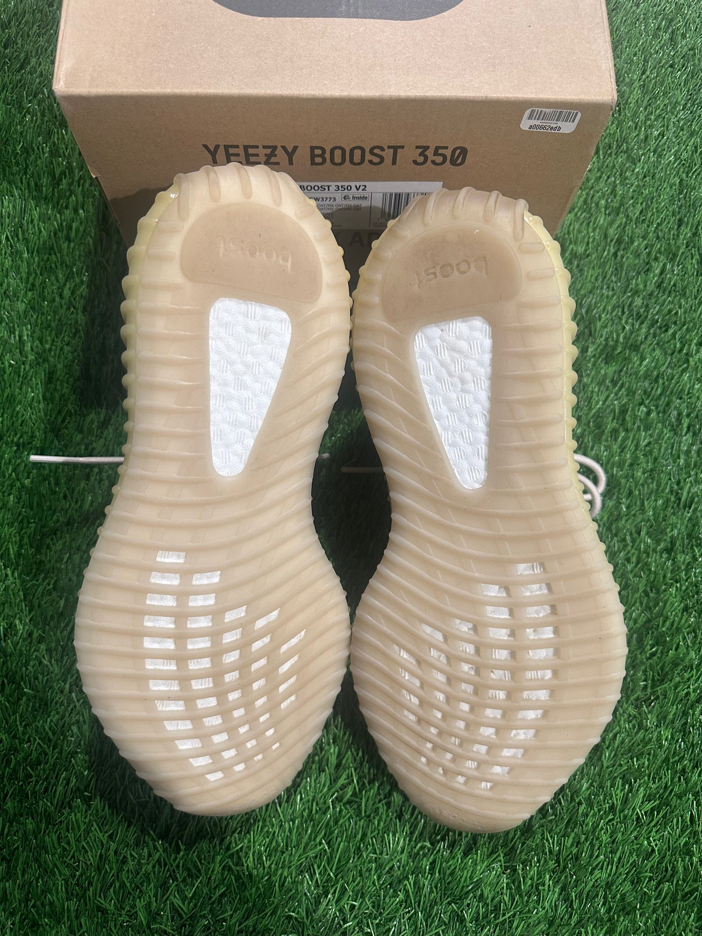 adidas Yeezy Boost 350 V2 MX Oat
