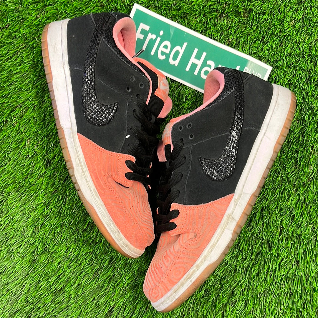 Premier x Dunk Low Pro SB 'Fish Ladder'