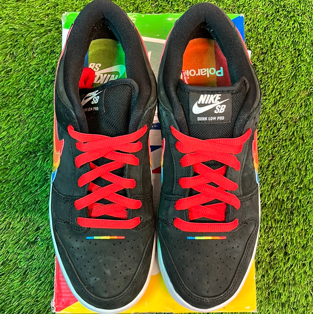 Polaroid x Dunk Low SB