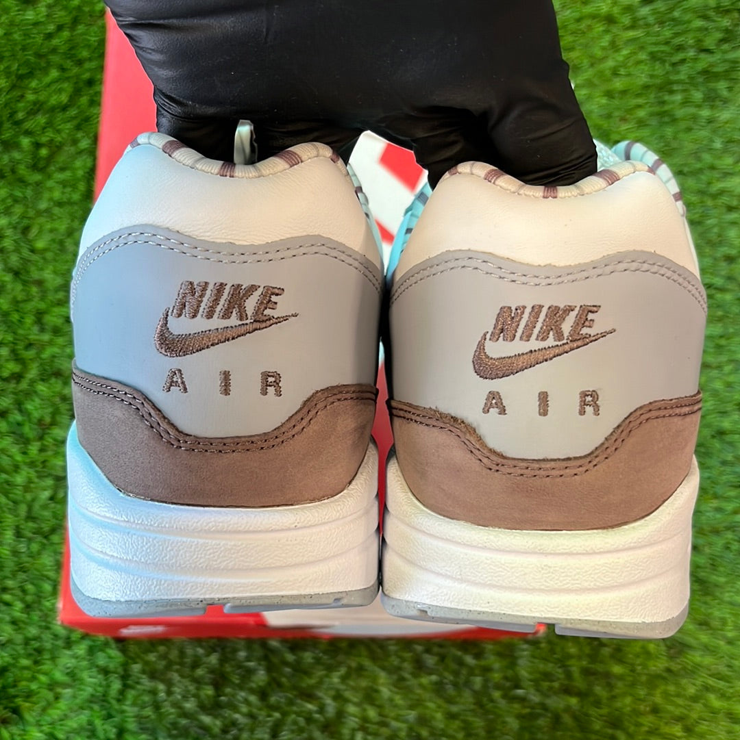 Air Max 1 Premium 'Shima Shima' 2023