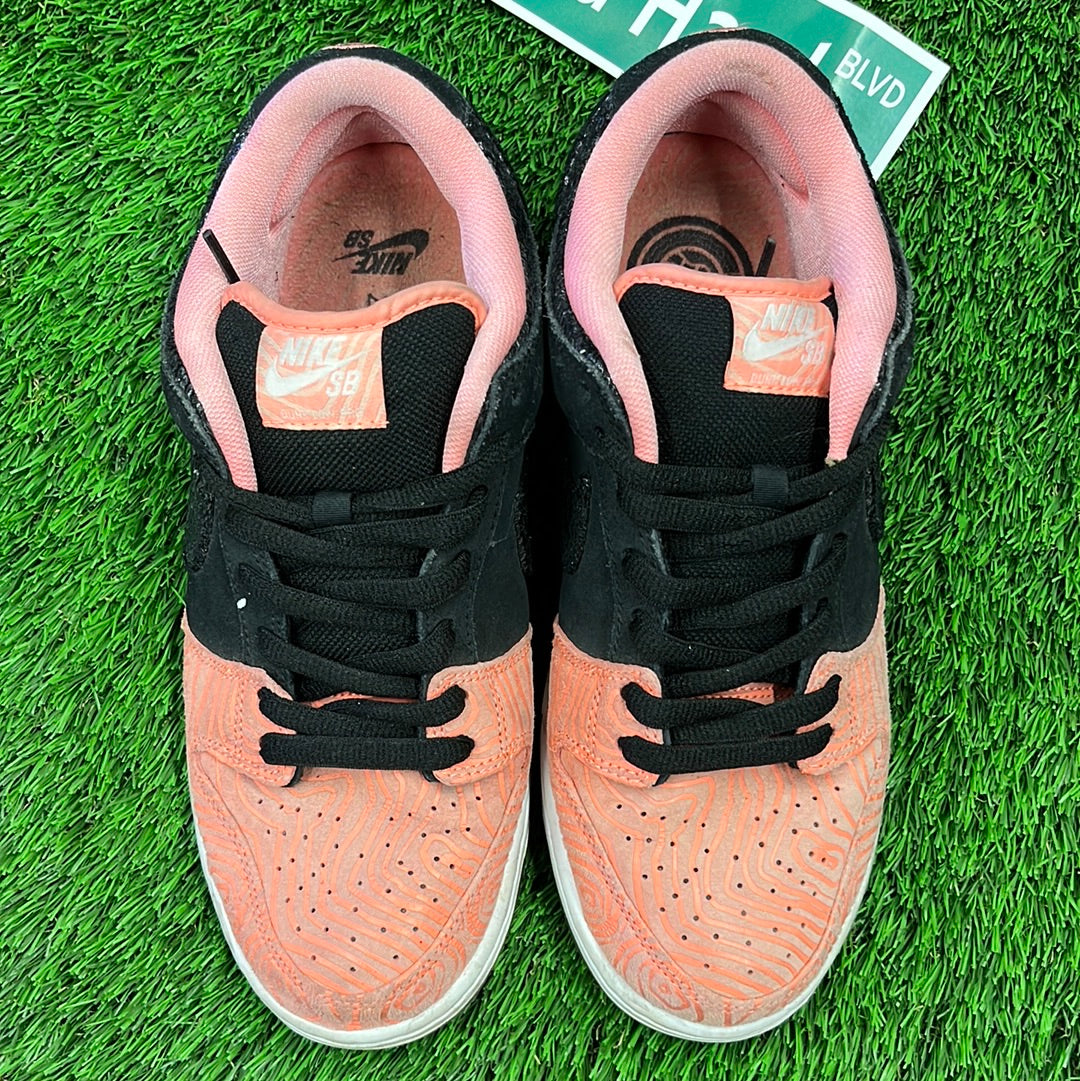 Premier x Dunk Low Pro SB 'Fish Ladder'