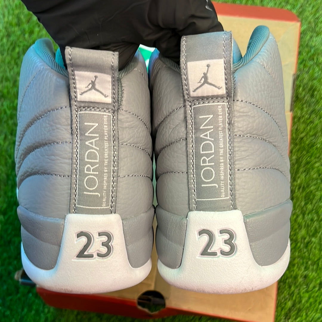 Air Jordan 12 Retro 'Stealth'