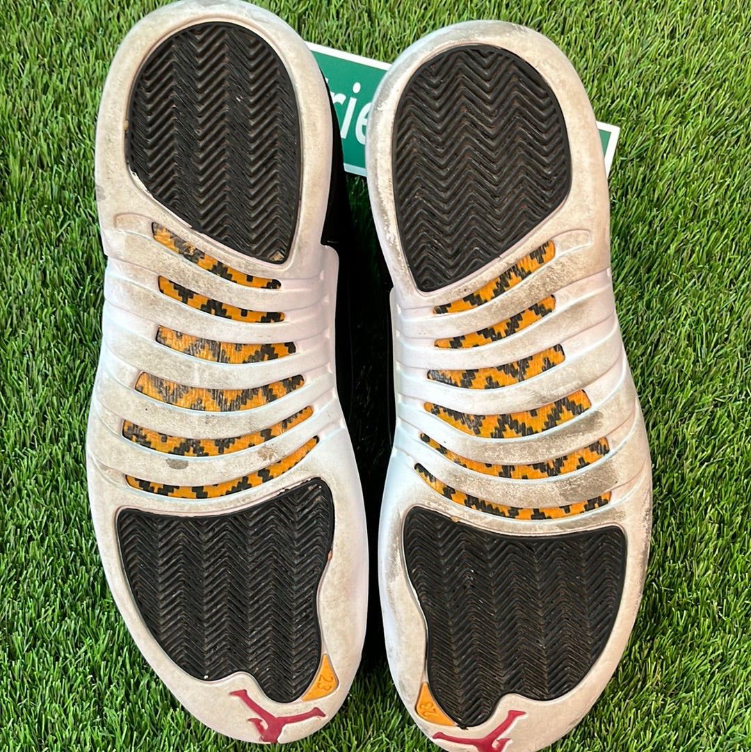 Air Jordan 12 Retro 'Reverse Taxi'