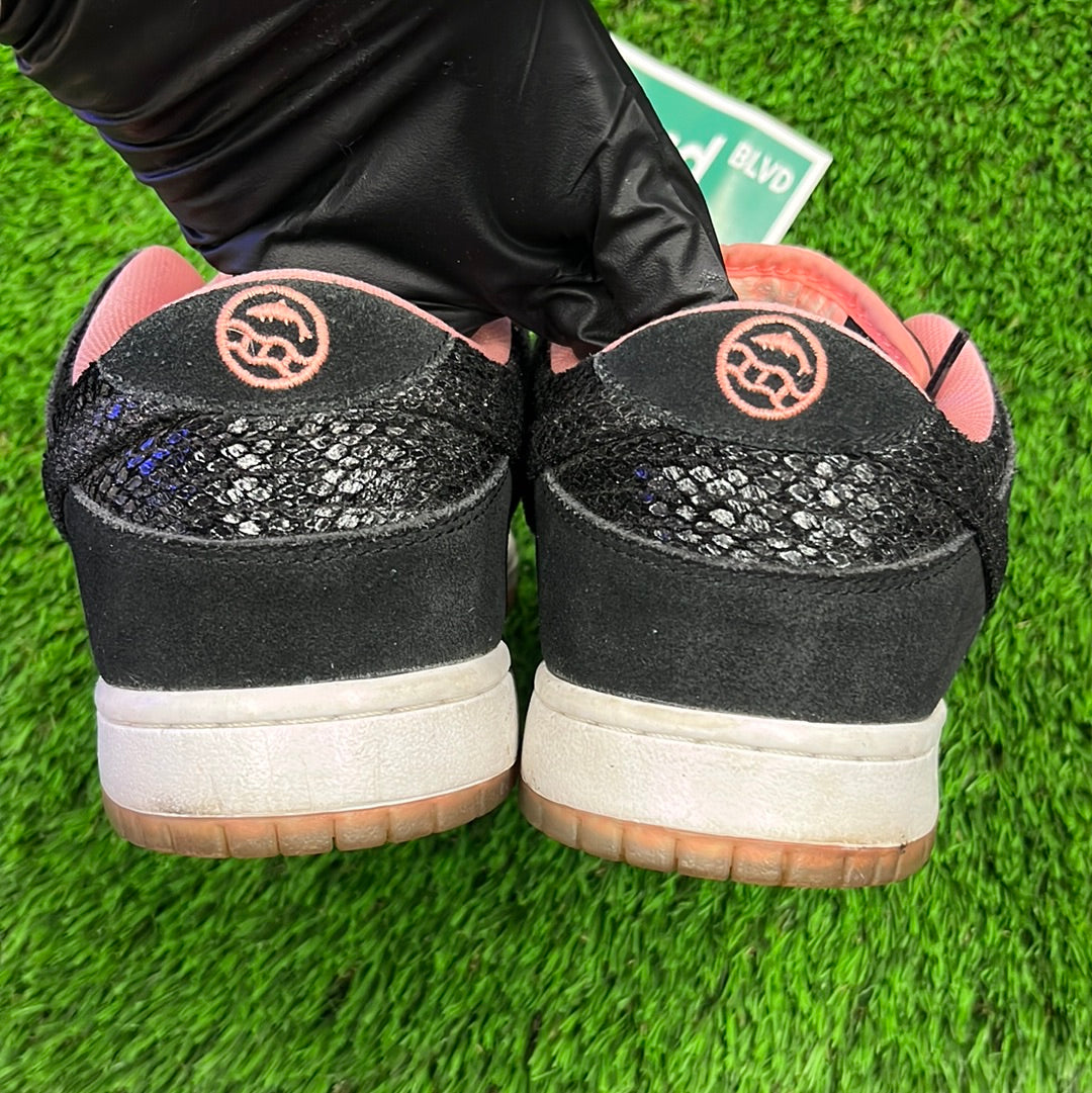 Premier x Dunk Low Pro SB 'Fish Ladder'