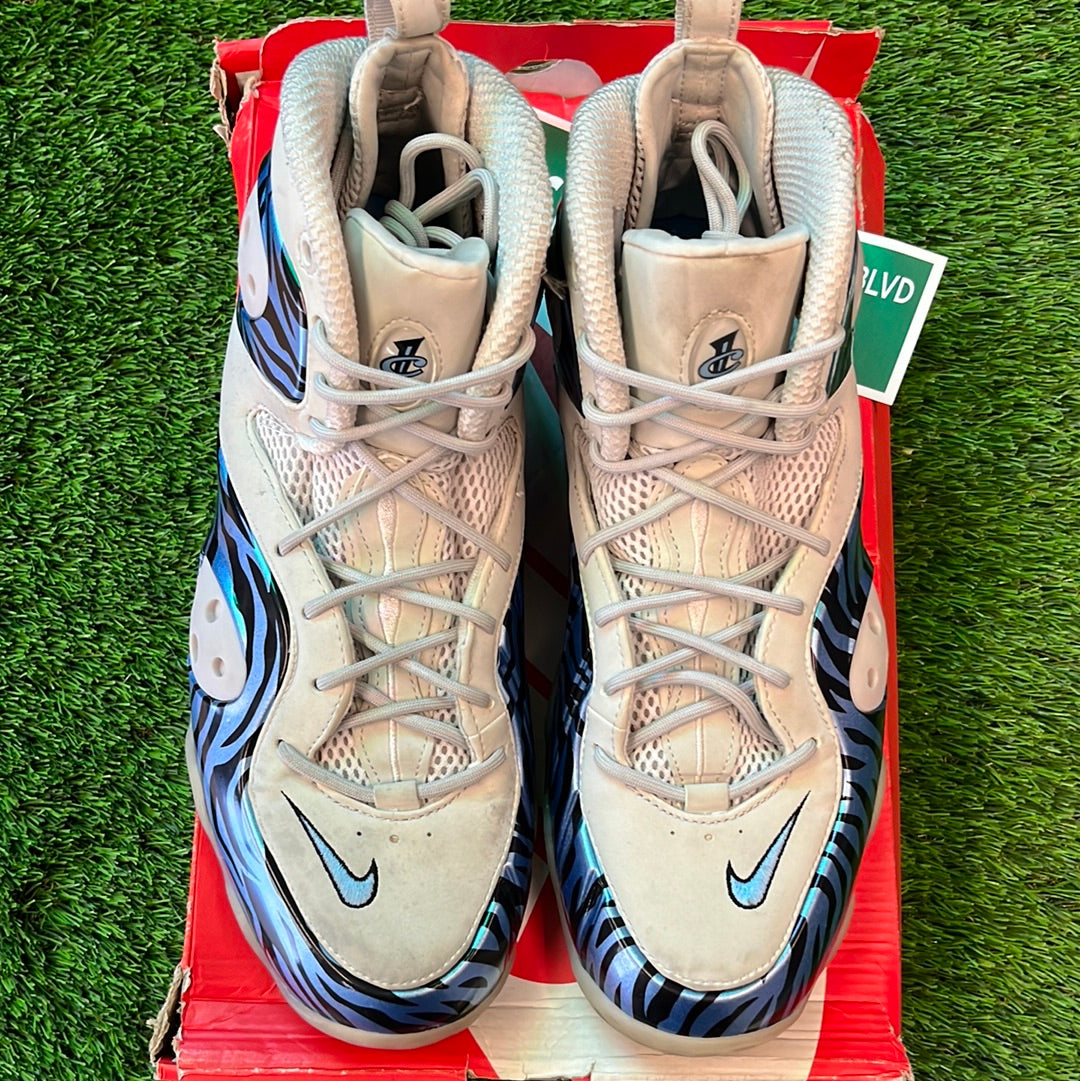 Zoom Rookie 'Memphis Tiger'