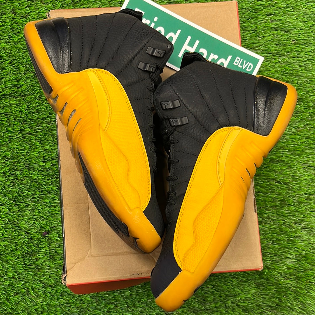 Air Jordan 12 Retro 'University Gold'