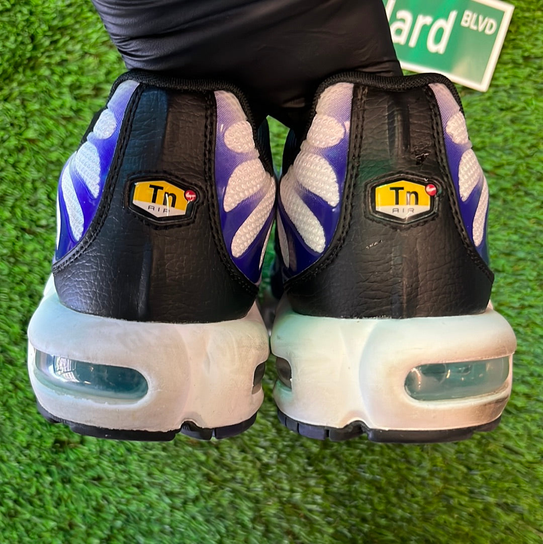 Air Max Plus 'Grape'